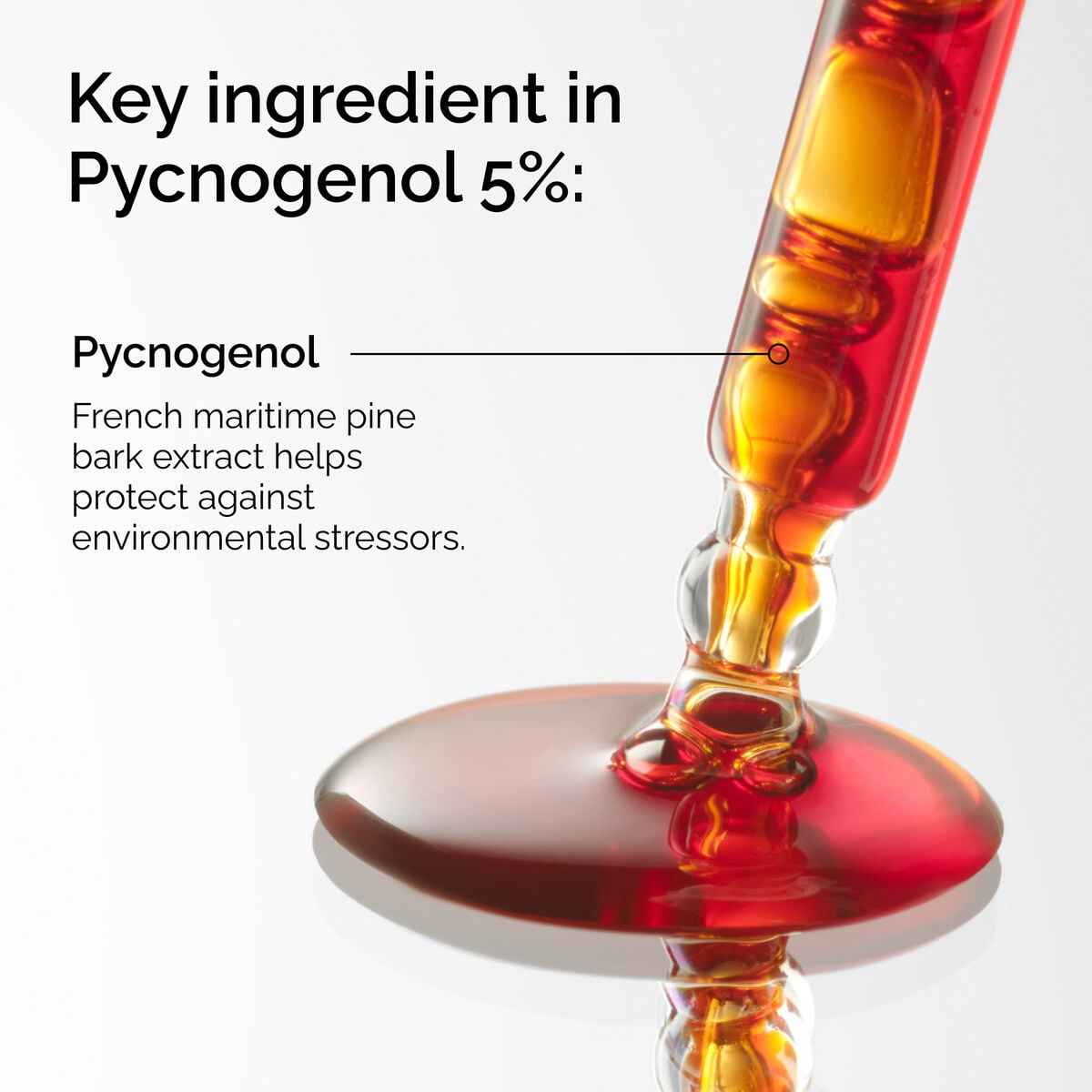 pycnogenol-5-o4 FY25-D41247-ORD-Web-PDP-Pyc-5pct-1x1-EN-2a.jpg