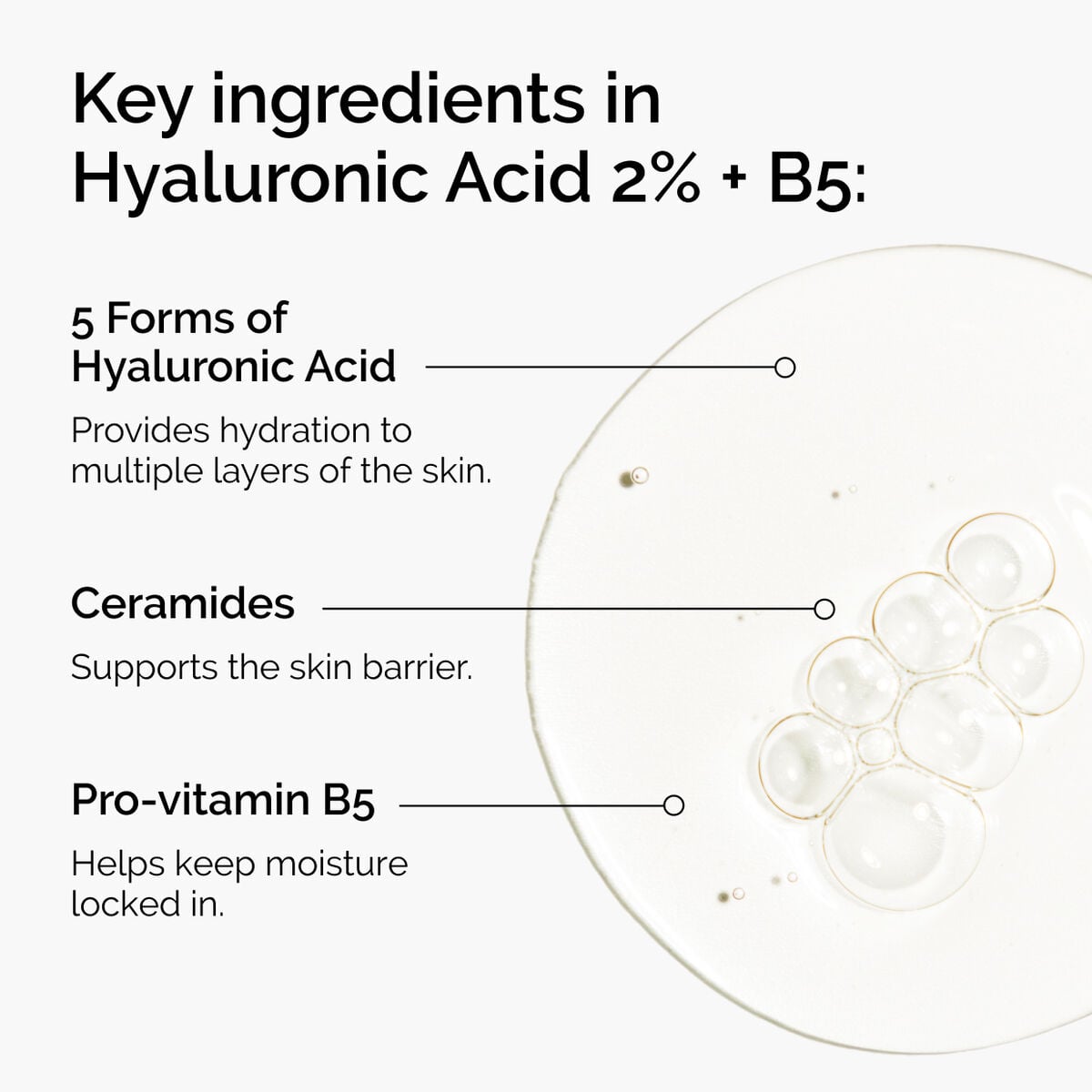 hyaluronic-acid-2-b5-with-ceramides-g8 ord-hyaluronic-acid-2pct-b5-hydrating-serum-ingredients-graphic.jpg