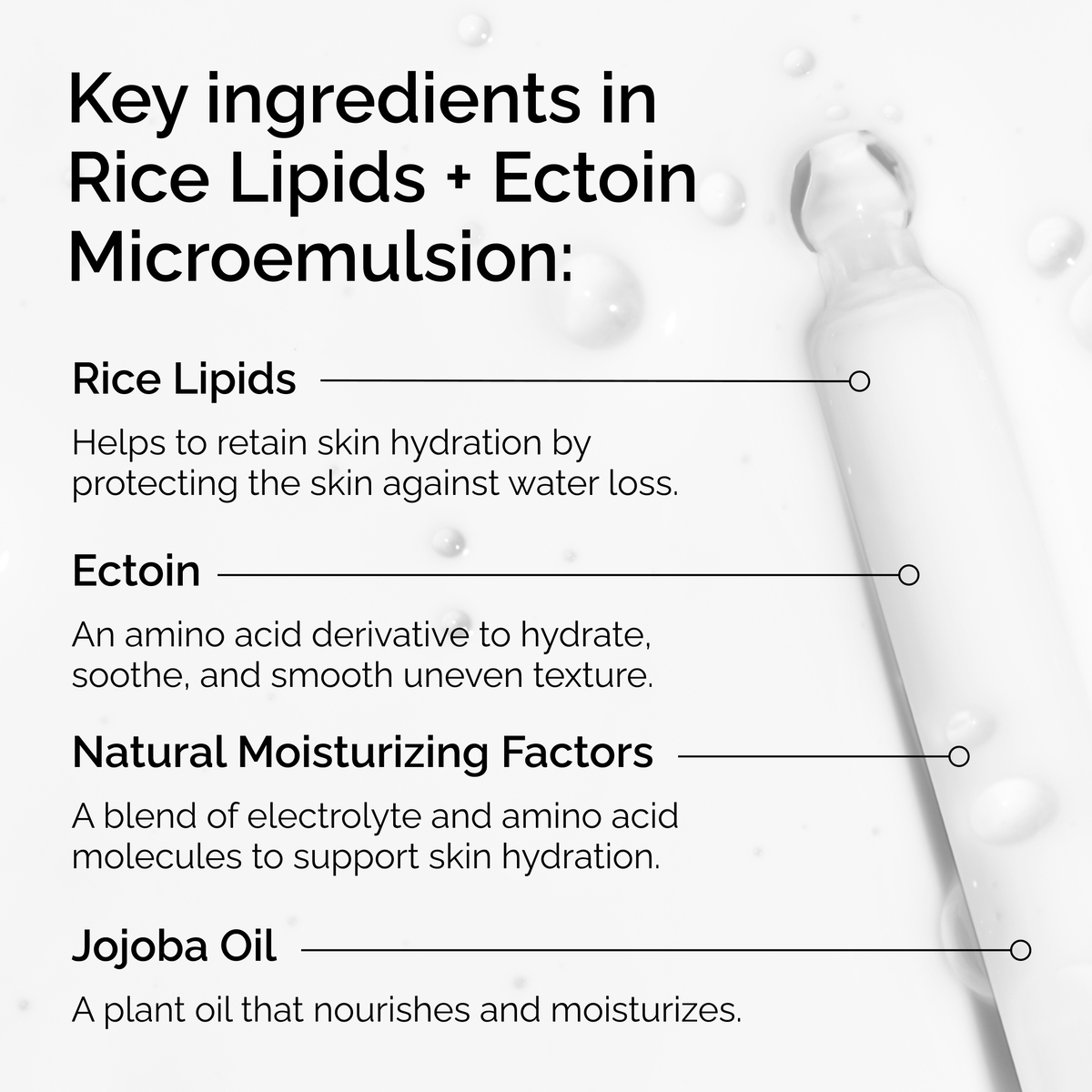 rice-lipids-ectoin-microemulsion-e7 ord-rice-lipids-ectoin-microemulsion-key-ingredients.png
