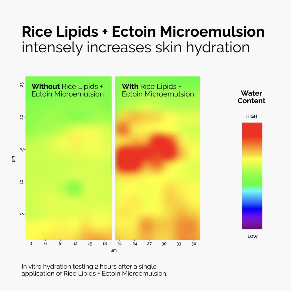 rice-lipids-ectoin-microemulsion-e7 ord-rice-lipids-ectoin-microemulsion-thermal-before-after.jpg